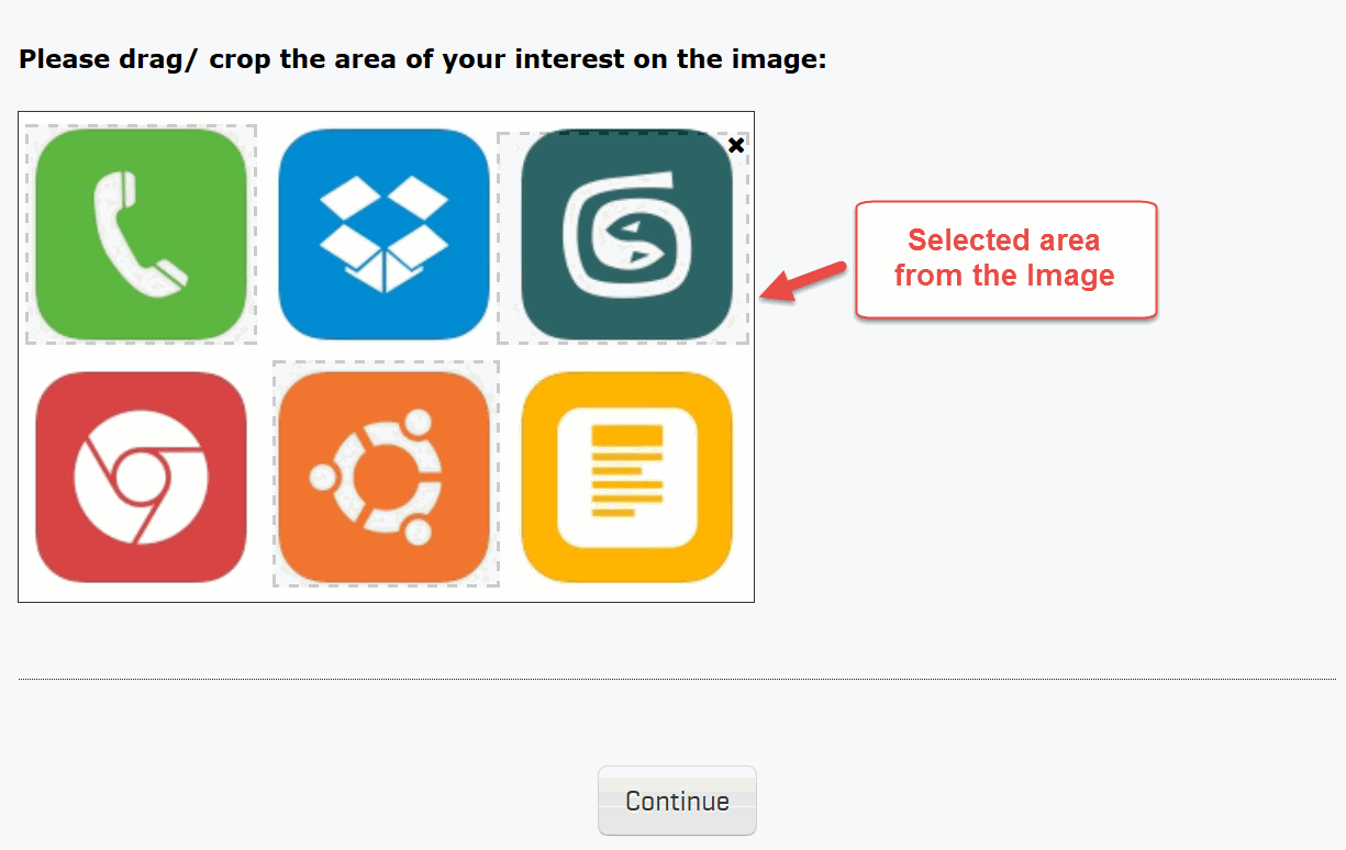 Survey Software Help Image